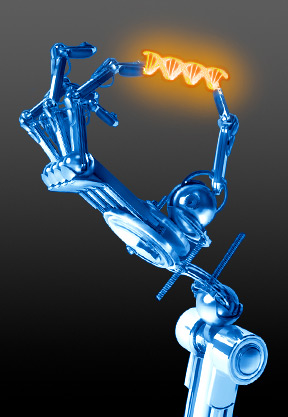 Robot